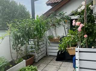 Dachgeschosswohnung am Pöstlingberg