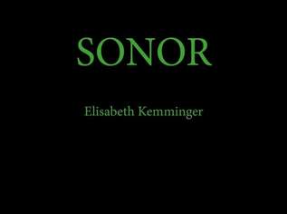 E-Book Fantasy-Roman SONOR, 5.99 €, Marktplatz-Bücher & Bildbände in 1220 Donaustadt