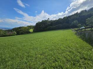 Großzügiges Grundstücksareal für Investoren, Bauträger, privaten Wohnbau, 0 €, Immobilien-Grund und Boden in 4040 Altlichtenberg Großzügiges Grundstücksareal für Investoren, Bauträger, privaten Wohnbau, 0 €, Immobilien-Grund und Boden in 4040 Altlichtenberg