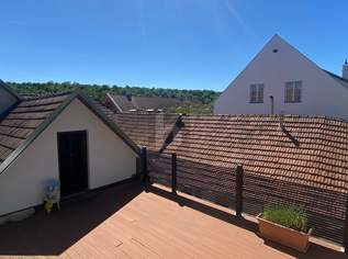 GEMÜTLICHES HAUSEN IM IDYLLISCHEN KAMPTAL, 300000 €, Immobilien-Häuser in 3550 Gemeinde Langenlois
