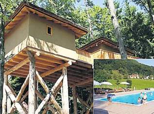 Schul-Projekttage im Baumhotel Styrassic null