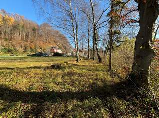 Großzügiges Grundstück mit Grünlandanteil, 219000 €, Immobilien-Grund und Boden in 4563 Micheldorf in Oberösterreich Großzügiges Grundstück mit Grünlandanteil, 219000 €, Immobilien-Grund und Boden in 4563 Micheldorf in Oberösterreich
