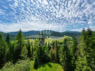 Freizeitwohnsitz- sonniger Baugrund mit Ausblick auf der Flattnitz, 119000 €, Immobilien-Grund und Boden in 9346 Flattnitz