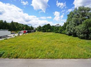 Betriebsbaugrund im Ortszentrum Pressbaum/Tullnerbach, 340000 €, Immobilien-Gewerbeobjekte in Niederösterreich Betriebsbaugrund im Ortszentrum Pressbaum/Tullnerbach, 340000 €, Immobilien-Gewerbeobjekte in Niederösterreich