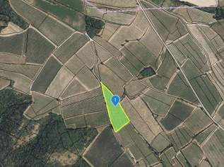 GUT BEWIRTSCHAFTETER WEINGARTEN IN HERRLICHER LAGE - WEINGARTEN, LANDWIRTSCHAFTLICHE FLÄCHEN - KEIN BAUGRUNDSTÜCK!, 47415 €, Immobilien-Grund und Boden in 3550 Gemeinde Langenlois GUT BEWIRTSCHAFTETER WEINGARTEN IN HERRLICHER LAGE - WEINGARTEN, LANDWIRTSCHAFTLICHE FLÄCHEN - KEIN BAUGRUNDSTÜCK!, 47415 €, Immobilien-Grund und Boden in 3550 Gemeinde Langenlois