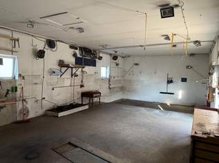 Werkstatt mit Hebebühne zu vermieten (Provisionsfrei), 996 €, Immobilien-Gewerbeobjekte in 3591 Altenburg Werkstatt mit Hebebühne zu vermieten (Provisionsfrei), 996 €, Immobilien-Gewerbeobjekte in 3591 Altenburg