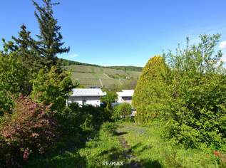 Kleingartenidylle mit Weinbergblick – nettes Sommerhäuschen mit Potenzial für Neubau!, 199000 €, Immobilien-Häuser in 1190 Döbling Kleingartenidylle mit Weinbergblick – nettes Sommerhäuschen mit Potenzial für Neubau!, 199000 €, Immobilien-Häuser in 1190 Döbling