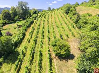 Großzügiges Grundstück mit Weitblick, 1200000 €, Immobilien-Grund und Boden in 3400 Gemeinde Klosterneuburg Großzügiges Grundstück mit Weitblick, 1200000 €, Immobilien-Grund und Boden in 3400 Gemeinde Klosterneuburg