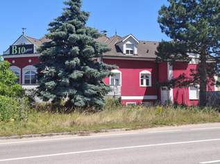 DAS ÄLTESTE GEWERBE DER WELT (10% RENDITE) - Etablissement mit aufrechter Betriebsanlagengenehmigung nähe Wien - Ertragsliegenschaft mit Entwicklunspotential, hochinteressanter Grundriss (GUTACHTEN VORHANDEN), 699000 €, Immobilien-Gewerbeobjekte in 2462 Wilfleinsdorf