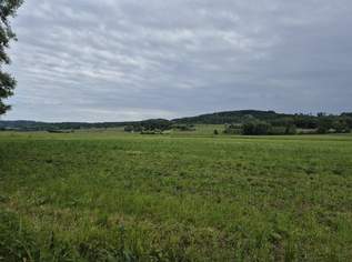 Landwirtschaftlicher Nutzgrund Acker Fraham, 227000 €, Immobilien-Grund und Boden in 4070 Fraham Landwirtschaftlicher Nutzgrund Acker Fraham, 227000 €, Immobilien-Grund und Boden in 4070 Fraham