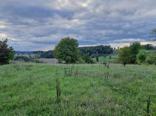 Seltene Gelegenheit Grundstück auch geeignet für Tiny Häuser in traumhafter Aussichtslage, Stadtbergen bei Fürstenfeld., 159000 €, Immobilien-Grund und Boden in 8280 Seltene Gelegenheit Grundstück auch geeignet für Tiny Häuser in traumhafter Aussichtslage, Stadtbergen bei Fürstenfeld., 159000 €, Immobilien-Grund und Boden in 8280