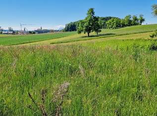 Sonniger Baugrund am Grünland, 30 km nördlich von Salzburg, 250000 €, Immobilien-Grund und Boden in 5141 Moosdorf Sonniger Baugrund am Grünland, 30 km nördlich von Salzburg, 250000 €, Immobilien-Grund und Boden in 5141 Moosdorf