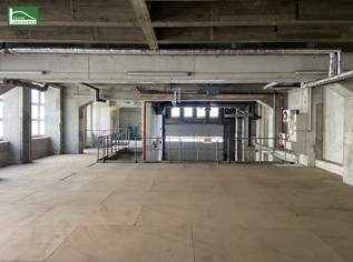 Flexible Gewerbefläche mit viel Potenzial für Ihr Unternehmen!, 7630.43 €, Immobilien-Gewerbeobjekte in 1200 Brigittenau Flexible Gewerbefläche mit viel Potenzial für Ihr Unternehmen!, 7630.43 €, Immobilien-Gewerbeobjekte in 1200 Brigittenau