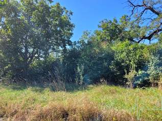 GRUNDSTÜCK mit Architektur-Entwurfsplanung in Zentrumsnähe, 209000 €, Immobilien-Grund und Boden in 7350 Oberpullendorf