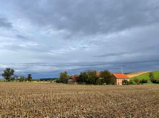 Verkaufe Bauernhof, 0 €, Immobilien-Häuser in 4716 Hofkirchen an der Trattnach