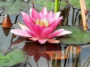 B&B - Frühstückspension - Hermagor Nassfeld Presseggersee, 790000 €, Immobilien-Gewerbeobjekte in 9620 Hermagor B&B - Frühstückspension - Hermagor Nassfeld Presseggersee, 790000 €, Immobilien-Gewerbeobjekte in 9620 Hermagor