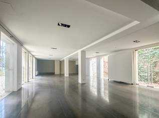 Repräsentatives Geschäftslokal in ausgezeichneter Lage, 2500000 €, Immobilien-Gewerbeobjekte in 1180 Währing Repräsentatives Geschäftslokal in ausgezeichneter Lage, 2500000 €, Immobilien-Gewerbeobjekte in 1180 Währing