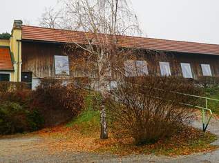 Traumhafte Gastroliegenschaft in der Wachau am Fuße einer Ruine***Donauterrasse***perfekt für Edelgastronomie oder Gourmettempel, 2670 €, Immobilien-Gewerbeobjekte in 3500 Am Steindl