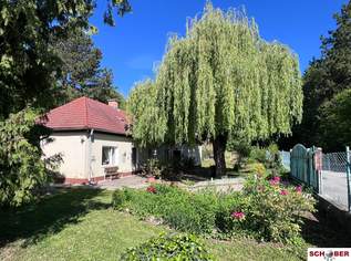 Idyllische Waldrandruhelage, 590000 €, Immobilien-Häuser in 2551 Enzesfeld