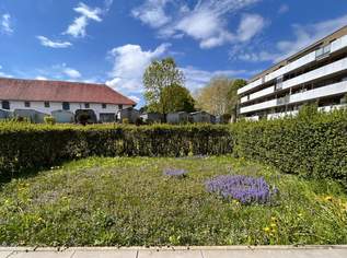 Moderne Wohnung mit Garten und KFZ-Stellplatz, 1058.42 €, Immobilien-Wohnungen in 4400 Steyr