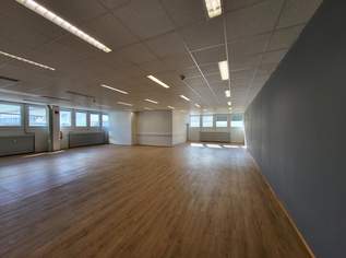 Bürofläche im Erdgeschoß, 2590.44 €, Immobilien-Gewerbeobjekte in 4050 Traun