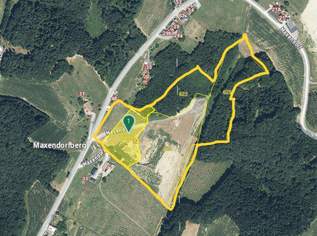 Die eigene Ranch auf 9,2ha Grund und Wald verwirklichen (Provisionsfrei), 380000 €, Immobilien-Grund und Boden in 8082 Kirchbach in Steiermark