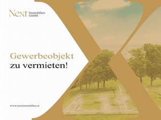 Lager im Hafengebiet von Linz zu vermieten!, 8120 €, Immobilien-Gewerbeobjekte in Oberösterreich