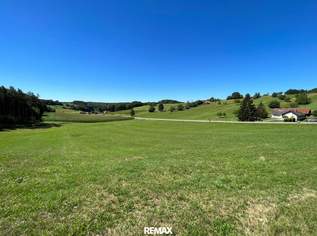 Schöner sonniger Baugrund im SÜDBURGENLAND, 88000 €, Immobilien-Grund und Boden in 7540 Kleinmürbisch Schöner sonniger Baugrund im SÜDBURGENLAND, 88000 €, Immobilien-Grund und Boden in 7540 Kleinmürbisch