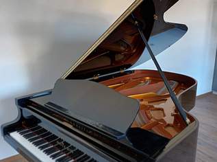 Klavier sucht Auslastung, 35000 €, Marktplatz-Musik & Musikinstrumente in 7061 Trausdorf an der Wulka Klavier sucht Auslastung, 35000 €, Marktplatz-Musik & Musikinstrumente in 7061 Trausdorf an der Wulka