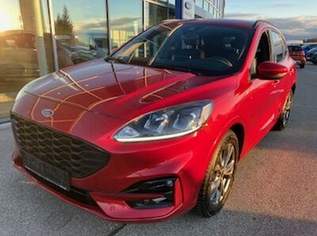 Kuga 1,5 EcoBlue ST-Line 120PS Diesel, 20900 €, Auto & Fahrrad-Autos in 4786 Brunnenthal