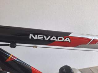 Fuji Nevada Cross - neu(wertig)