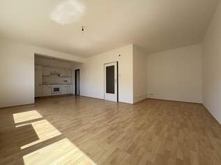 Geräumige 1 Zimmerwohnung in zentraler Lage in Wels, 590 €, Immobilien-Wohnungen in 4600 Wels