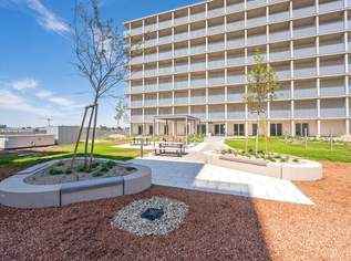 FREIHEIT KAUFEN, PIONIERE SEIN. Dein neuer Ort, dein neues Zuhause am Hausfeld!, 239000 €, Immobilien-Wohnungen in 1220 Donaustadt FREIHEIT KAUFEN, PIONIERE SEIN. Dein neuer Ort, dein neues Zuhause am Hausfeld!, 239000 €, Immobilien-Wohnungen in 1220 Donaustadt