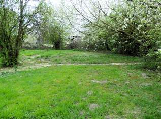 Großer moderner Holzbau Großer moderner Holzbau