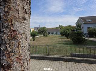 OPEN HOUSE! Großzügiges Einfamilienhaus mit Zubau, großem Garten und Bauland, 279000 €, Immobilien-Häuser in 2130 Siebenhirten OPEN HOUSE! Großzügiges Einfamilienhaus mit Zubau, großem Garten und Bauland, 279000 €, Immobilien-Häuser in 2130 Siebenhirten