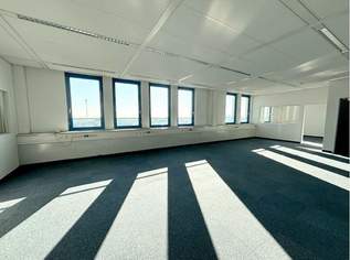 Wiener Neudorf! 136 qm Bürofläche, 1863.78 €, Immobilien-Gewerbeobjekte in 2351 Gemeinde Wiener Neudorf Wiener Neudorf! 136 qm Bürofläche, 1863.78 €, Immobilien-Gewerbeobjekte in 2351 Gemeinde Wiener Neudorf