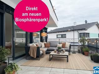 Eckreihenhaus – Ziegelmassivbau – Architekturjuwel, 549000 €, Immobilien-Häuser in 2100 Korneuburg Eckreihenhaus – Ziegelmassivbau – Architekturjuwel, 549000 €, Immobilien-Häuser in 2100 Korneuburg