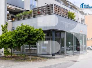Sichtbar. Zentral. Vielseitig. Ihre neue Geschäftsadresse in Traun!, 1311.3 €, Immobilien-Gewerbeobjekte in 4050 Traun
