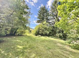 Exklusives Grundstück im Wienerwald – seltene Gelegenheit nahe Wien, 300000 €, Immobilien-Grund und Boden in Niederösterreich