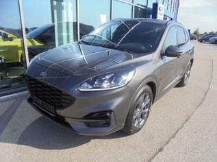 Kuga ST-Line 1,5L 120PS Diesel Automatik, 21900 €, Auto & Fahrrad-Autos in 4786 Brunnenthal Kuga ST-Line 1,5L 120PS Diesel Automatik, 21900 €, Auto & Fahrrad-Autos in 4786 Brunnenthal