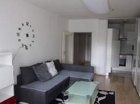 Vermietete Garconniere für Anleger!, 139000 €, Immobilien-Wohnungen in 2344 Gemeinde Maria Enzersdorf