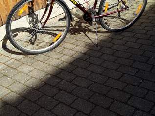 Verkaufe Damenrad gebraucht, 170 €, Auto & Fahrrad-Fahrräder in 3872 Gemeinde Amaliendorf-Aalfang