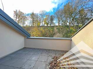 Pichling/Ebelsberg: Unterkellertes Reihenhaus mit Dachterrasse zum Erstbezug!, 491621 €, Immobilien-Häuser in Oberösterreich