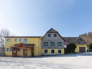 Leibrenten-Variante für Zwei- bis Dreifamilienhaus, 45000 €, Immobilien-Häuser in 8102 Semriach