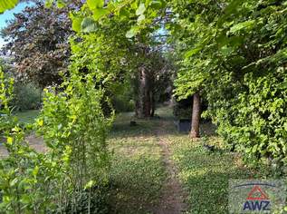 Viel Platz für Ihre Wohnideen: ca. 980 m² Grundstück nahe Wien!, 0 €, Immobilien-Häuser in 2103 Langenzersdorf