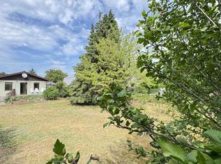 Ihr Grundstückstraum in 1220 Wien – Mit kleinem, aber charmantem Fertigteilhaus und viel Potenzial | ZELLMANN IMMOBILIEN, 490000 €, Immobilien-Grund und Boden in 1220 Donaustadt Ihr Grundstückstraum in 1220 Wien – Mit kleinem, aber charmantem Fertigteilhaus und viel Potenzial | ZELLMANN IMMOBILIEN, 490000 €, Immobilien-Grund und Boden in 1220 Donaustadt