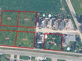 BAUGRÜNDE! Zwischen 715 m² und 750 m², 186000 €, Immobilien-Grund und Boden in 2452 Gemeinde Mannersdorf am Leithagebirge BAUGRÜNDE! Zwischen 715 m² und 750 m², 186000 €, Immobilien-Grund und Boden in 2452 Gemeinde Mannersdorf am Leithagebirge