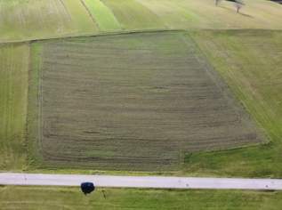 Ihr Platz fürs Eigenheim – vier attraktive Baugrundstücke in Rohrbach, 0 €, Immobilien-Grund und Boden in 4150 Rohrbach-Berg