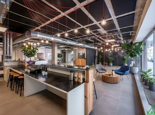 Attraktives Büro/Praxis in 1090 Wien: 568 m² und 82 Stellplätze warten auf Sie!, 12771.74 €, Immobilien-Gewerbeobjekte in 1090 Alsergrund