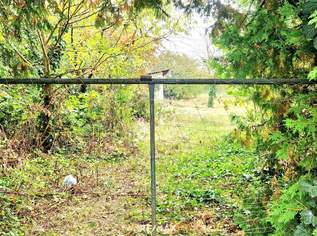 TRAUMHAUS in den Golser Weinbergen möglich!, 235000 €, Immobilien-Grund und Boden in 7122 Gols